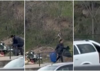 🎥”3 დიდი პარკი გაავსო, საფლავიდან იპარავს ყვავილებს და მერე ყიდის” – რა კადრები ვრცელდება სასაფლაოდან?