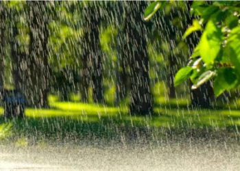 გარემოს ეროვნული სააგენტო მოსახლეობას საგანგებოდ აფრთხილებს