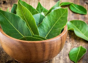 “აიღეთ ფურცელი, კალამი და დაფნის ფოთოლი…” – რიტუალი, რომელიც დღეს უნდა შეასრულოთ