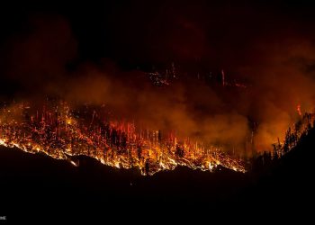 “ღია ცეცხლია, საჭირო გახდება ვერტმფრენების ჩართვა”– ახალი დეტალები ახალდაბის ტყიდან, სადაც ხანძარია