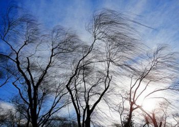 გაფრთხილება! – საქართველოში ძალიან ძლიერი ქარია მოსალოდნელი
