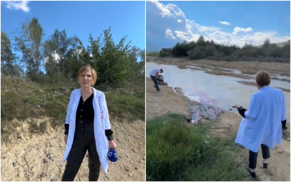 შემზარავი კადრები ცხოველთა სასაკლაოდან – “სახალხო კონტროლი”