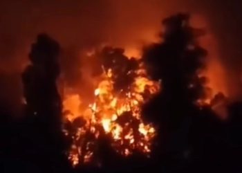 მასშტაბური ხანძარია ოკუპირებულ აფხაზეთში – ცეცხლი გალის რაიონში მანდარინის პლანტაციას უკიდია