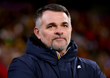 ვილი სანიოლი საქართველოს ნაკრებს დატოვებს? – რა შემოთავაზება აქვს მწვრთნელს