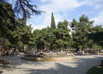 ვერის პარკის რეაბილიტაციის პროცესი იწყება