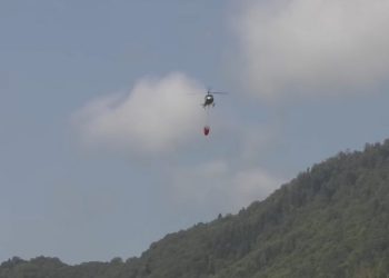 დაბა ახალდაბას მიმდებარედ, ტყეში ხანძარი ლიკვიდირებულია