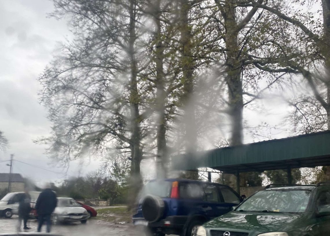 როგორ პირობებში მიმდინარეობს სამეგრელოში არჩევნები? – რა დარღვევებზე საუბრობენ “მეტრონომთან” ადგილობრივები?