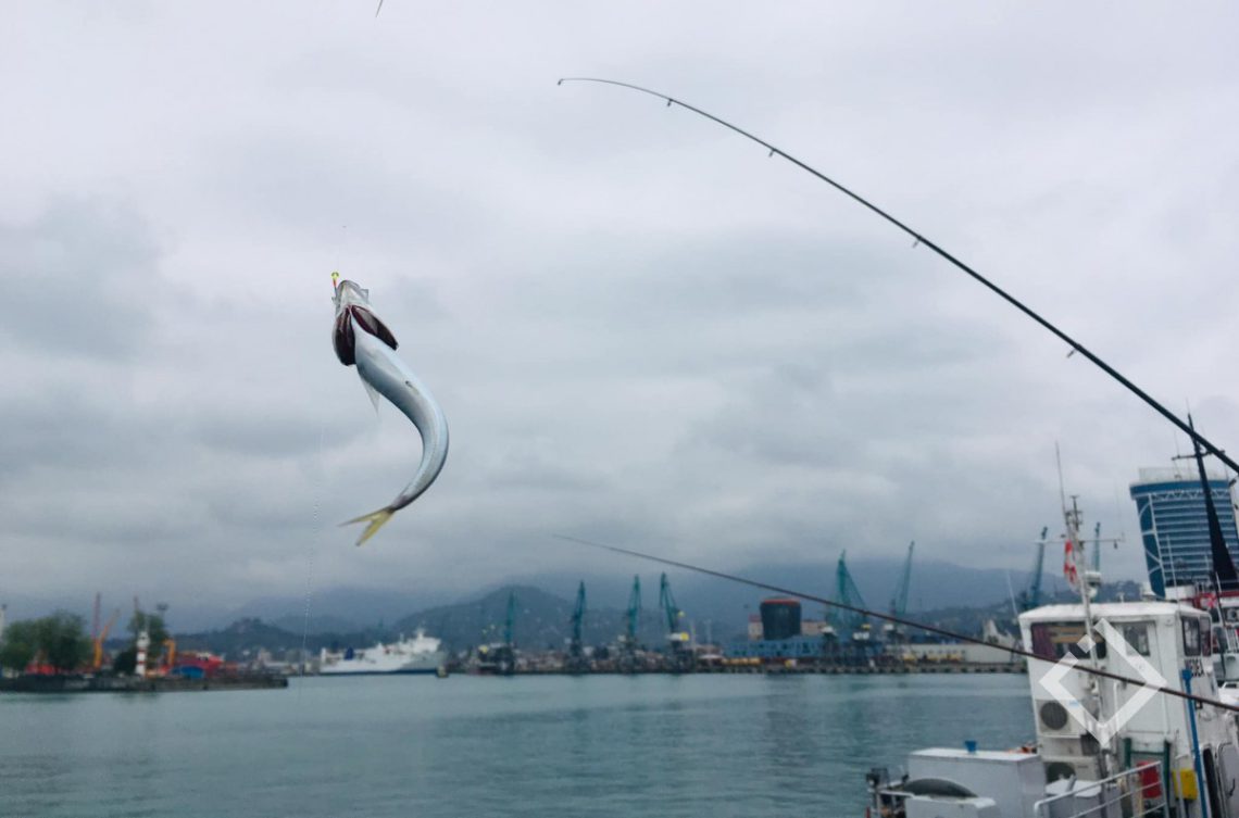 “თევზაობის მოყვარულებმა უნდა გაითვალისწინონ, რომ აკრძალულია…” – გარემოს დაცვისა და სოფლის მეურნეობის სამინისტრო