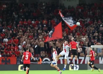 როგორ დასაჯა UEFA-მ ალბანეთის ნაკრები საქართველოს ჰიმნზე სტვენის გამო?