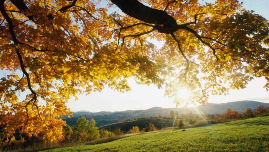 როგორი ამინდი იქნება დღეს?-  ამინდის პროგნოზი ქალაქების მიხედვით