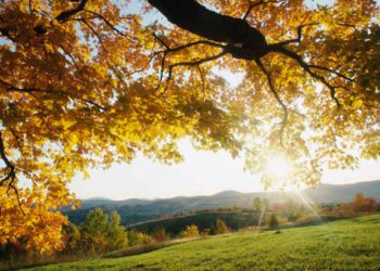 როგორი ამინდი იქნება დღეს?-  ამინდის პროგნოზი ქალაქების მიხედვით