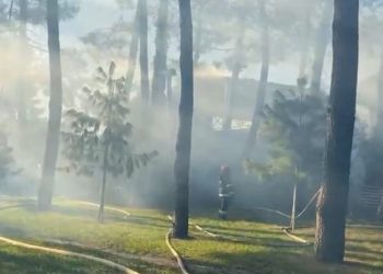 ხანძარი ბათუმის ბულვარში – რა გახდა ცეცხლის გაჩენის მიზეზი?