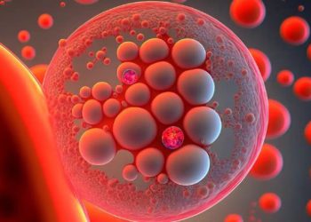 შესაძლოა,  დიაბეტისგან განკურნება შესაძლებელი გახდეს – ახალი კვლევა