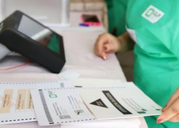 ელექტრონული არჩევნები საქართველოში – რა პროცედურები უნდა გავიაროთ ხმის მისაცემად