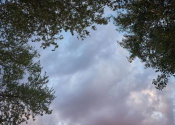 ამინდი იცვლება – ნახეთ 10-11 ოქტომბერს მოსალოდნელი პროგნოზი