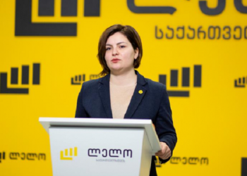 “ზუგდიდში, ჩვენს წარმომადგენელს ფიზიკურად გაუსწორდნენ” – რა ინფორმაციას ავრცელებს ანა ნაცვლიშვილი