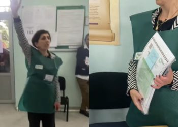 “როგორ ძალადობს კომისიის თავმჯდომარე კომისიის წევრებზე ხელი აწიონ და მხარი დაუჭირონ ჩემს გამოძევებას” – რას წერს ამომრჩეველი