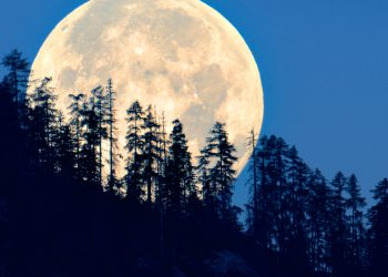 17 ოქტომბერს სახიფათო სუპერმთვარე გველოდება – რისი გაკეთება არ არის რეკომენდებული ამ დღეს