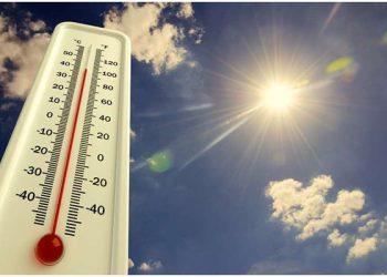 +19 გრადუსი – ამინდის პროგნოზი ქალაქების მიხედვით