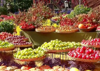 რა ღონისძიებები ელოდება ორბელიანის მოედანზე მისულ სტუმრებს?