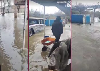 🎥 ძლიერი წვიმის შედეგად, სამტრედიაში ეზოები დაიტბორა