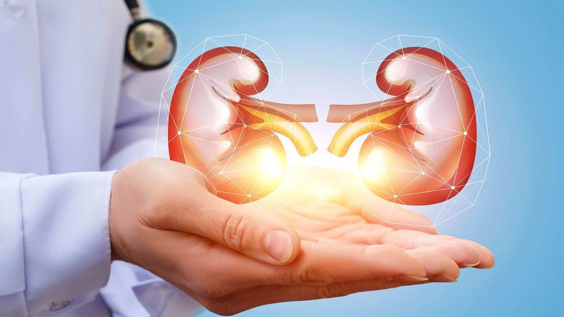 როგორ გადავარჩინოთ თირკმელები – ექიმმა ყველაზე ეფექტური ბოსტნეული დაასახელა