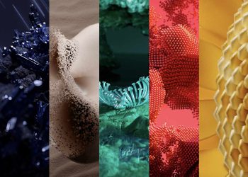 2025 წლის ფერი უკვე ცნობილია