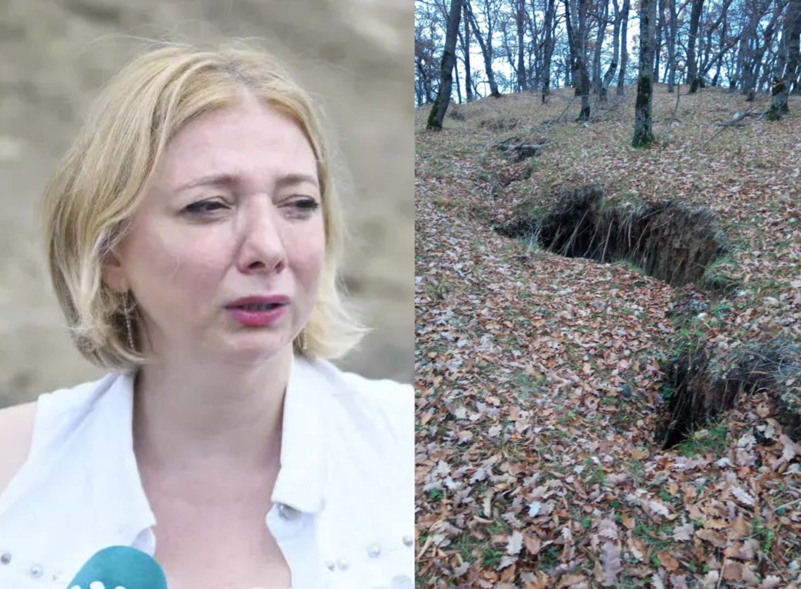 “დიდი ფართობია მოწყვეტილი, როდის ჩამოვა, არავინ იცის”- თეა გოდოლაძე საგანგაშო ინფორმაციას ავრცელებს