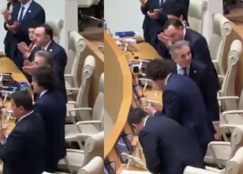 🎥 მდინარაძის მადლობის შემდეგ, “ოცნების“ წევრები ივანიშვილს ფეხზე წამოუდგნენ – კადრები პარლამენტიდან