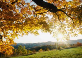 როდიდან გამოიდარებს საქართველოში? – სინოპტიკოსების პროგნოზი