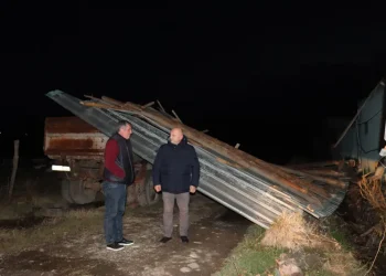 გორში ძლიერმა ქარმა და უხვმა ნალექმა პრობლემები შექმნა