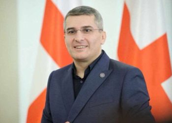 "მიშა მაგარია!" - მამუკა მდინარაძე მიხეილ ყაველაშვილის პრეზიდენტობის კანდიდატად წარდგენას ეხმაურება