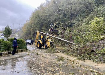“წამოსულია მეწყერი”- რა ხდება გურიაში?