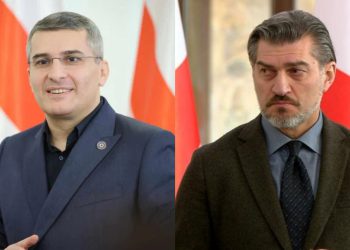 “სამშობლოს სიყვარულს დიპლომი არ სჭირდება” – რას ამბობს მდინარაძე