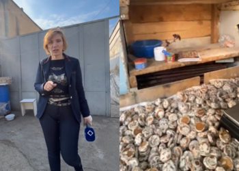 “შევდივართ ჯოჯოხეთში, აქ რაც ხდება სისხლის სამართლის დანაშაულია” – რა შოკიმომგვრელი კადრები ვრცელდება დიდუბიდან