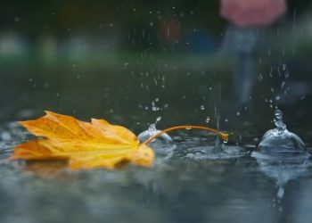 საქართველოში ღრუბლიანობის მომატებაა მოსალოდნელი – სინოპტიკოსები გვაფრთხილებენ