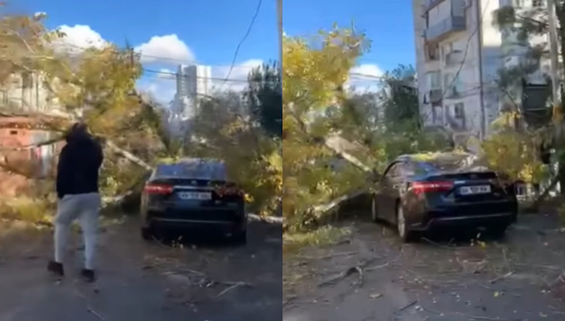 “ქალაქში მოძრაობა უსაფრთხო აღარაა”- თბილისში ხე მოძრავ ავტომობილს დაეცა