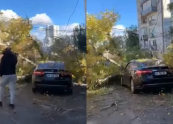 “ქალაქში მოძრაობა უსაფრთხო აღარაა”- თბილისში ხე მოძრავ ავტომობილს დაეცა