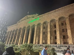 უწყვეტი პროტესტის მე-15 დღე - "მეტრონომის" ფოტოკოლაჟი