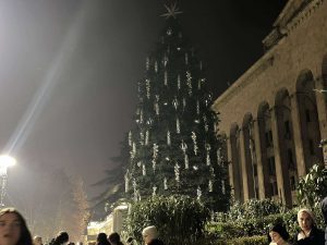 პროტესტის მე-13 დღე - რა ვითარებაა ადგილზე - "მეტრონომის" ფოტოკოლაჟი