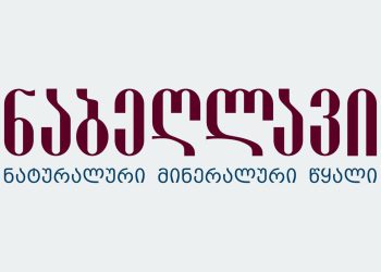 “მტკიცედ ვრჩებით საქართველოს კონსტიტუციის 78-ე მუხლით განსაზღვრული კურსის ერთგულნი!” – “ნაბეღლავი” განცხადებას ავრცელებს