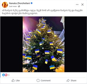 "ჩვენ ხომ არ ავაწყოთ ნაძვის ხე და ნაცემი ხალხის ფოტოები ჩამოვკიდოთ?" - რას წერს ნანუკა ჟორჟოლიანი?