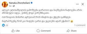 "ალეკო ელისაშვილის გამოშვება გირაოთი და ბავშვების ჩატოვება არის პრო&ული იდეა, ვინმე ქოცი ვირეშმაკასი" - რას წერს ნანუკა ჟორჟოლიანი?