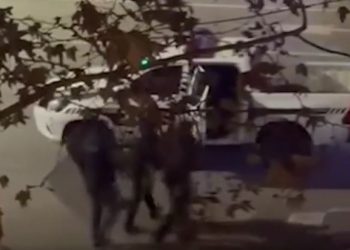 🎥 “რატომ მიჭერ? რატომ? პანიკური შეტევები მაქვს, არ დამარტყა რა გთხოვ” – ვრცელდება მოქალაქის დაკავების კადრები