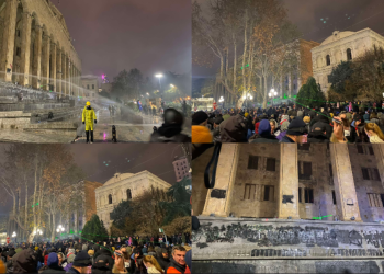 🎥 რა ვითარებაა პარლამენტთან მიმდინარე აქციაზე? – “მეტრონომის” ფოტოკოლაჟი