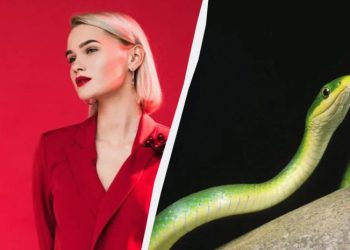 რატომ არ შეგვიძლია საახალწლოდ წითელი ფერის ჩაცმა? – საყურადღებო რჩევები