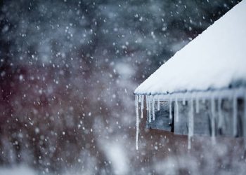 “თოვლი, ქარბუქი და დაბალი ტემპერატურა” – 15 დეკემბრის ამინდის პროგნოზი