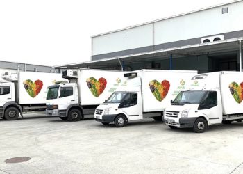 ცვლილებები სატრანსპორტო რეგულაციებში – დადგენილება 2025 წლიდან ამოქმედდება!