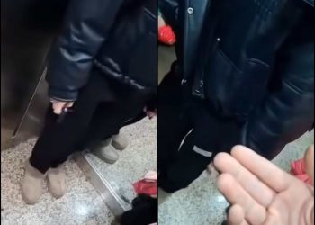 🎥”ჩემი ქმარი გაჭმევს მაგ კასკას,  ყველანი ხართ გადასაჩეხი”-  მომხმარებლი კურიერს დაუპირისპირდა