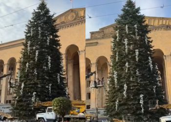 🎥პარლამენტთან ნაძვის ხეს რთავენ –  რა კადრები ვრცელდება ადგილიდან?